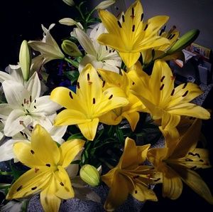 Meet your Posher, Shareen